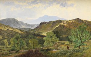 Moel Siabod - nella Valle del Lledr, 1871 da Benjamin Williams Leader