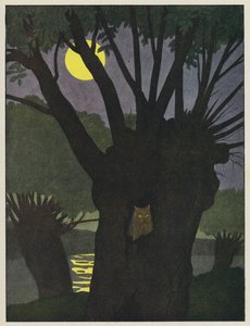 Gufo in un buco in un albero in una notte di luna da Benjamin Rabier
