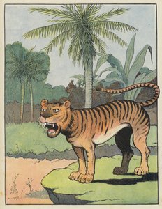 Tigre