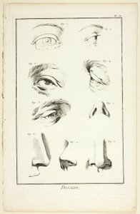 Design: Anatomia facciale da Encyclopédie da Benoit Louis Prevost