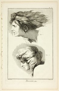 Design: Teste, da Encyclopédie da Benoit Louis Prevost