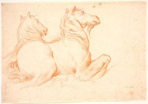 Due cavallucci marini