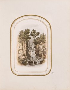 Il salto del cerbiatto