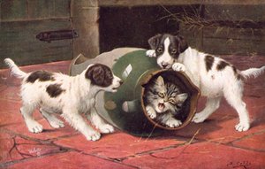 Cartolina del Gatto da Bernard Cobbe