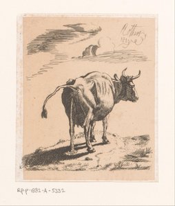 Mucca che urina da Bernard Eugène Antoine Rottiers