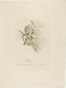 Il falegname, da Arti e Mestieri