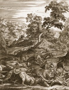 Atteone trasformato in cervo e divorato dai suoi cani, 1731