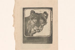 Testa di leonessa da Bernard Willem Wierink