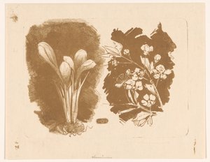 Crocus e un ramo con fiori da Bernard Willem Wierink