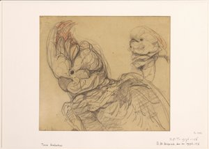 Due cacatua, a mezzo busto da Bernard Willem Wierink