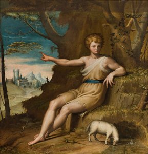 Cappella della Madonna del Popolo, Seconda Campata Lato Sud, Bernardino Campi, San Giovanni nel Deserto 1569 da Bernardino Campi
