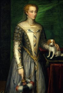 Ritratto di una donna da Bernardino Campi