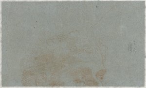 Parte della testa di un uomo da Bernardino Lanino (possibly)