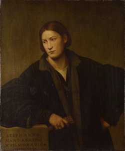 Ritratto di Stefano Nani, 1528