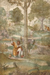  da Bernardino Luini