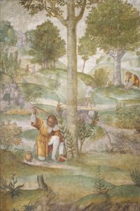 Cefalo nasconde i gioielli, c. 1520-1522 da Bernardino Luini