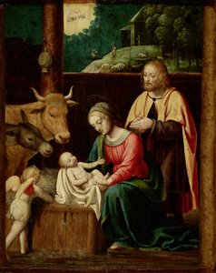 La nascita di Cristo da Bernardino Luini