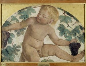 Putti raccolgono - Putto sotto una pergola, c.1514 (affresco staccato su tavola)