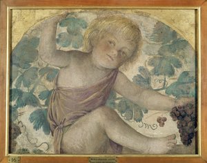 Putti che raccolgono - Putto sotto una pergola, c.1514 (affresco staccato su tavola) da Bernardino Luini