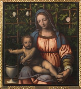 Madonna e Bambino (Madonna del Roseto) da Bernardino Luini