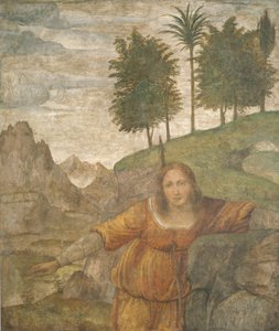 Procri trafitta dal giavellotto di Cefalo, c. 1520-1522 da Bernardino Luini