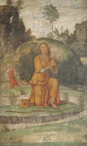 La preghiera di Procri a Diana da Bernardino Luini
