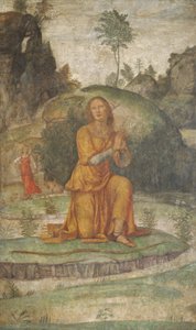 Preghiera di Procri a Diana, ca. 1520-1522 da Bernardino Luini