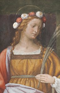 Santa Rosa (dettaglio)