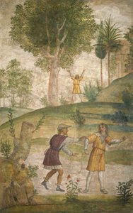 La disperazione di Cefalo