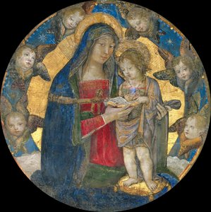 Madonna e Bambino con Cherubini, 1492-1495 da Bernardino Pinturicchio