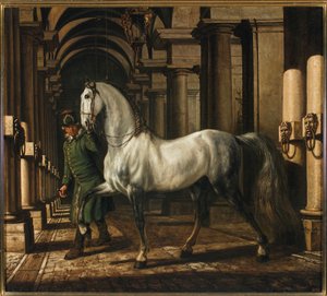  da Bernardo Bellotto