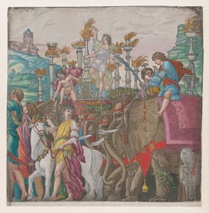 Foglio 5: Elefanti, da Il Trionfo di Giulio Cesare