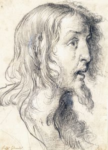 La Testa di Cristo di Profilo a Destra da Bernardo Strozzi