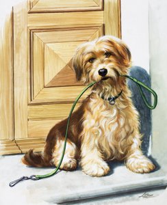 Cane che tiene il guinzaglio in bocca (gouache su carta)