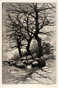 Hampstead Heath, Londra