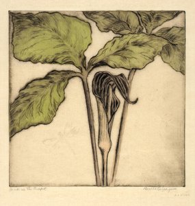 Jack nel pulpito