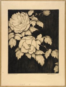 Peonie giapponesi