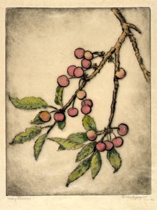 Ciliegie di maggio da Bertha E. Jaques