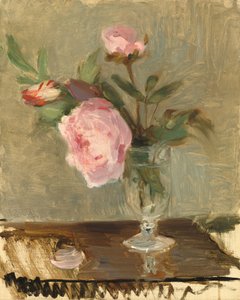 Peonie