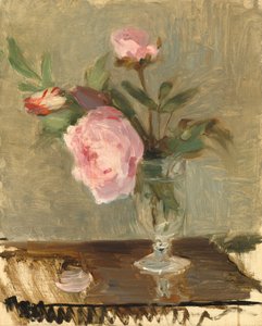 Peonie