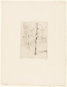 Il lago del Bois de Boulogne da Berthe Morisot