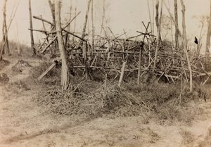 Album della Prima Guerra Mondiale in Friuli-Venezia Giulia: ostacolo difensivo (cavalli di Frisia), 05/1916 da Bertoni Bertoni
