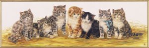 Sette gattini da Bessie Bamber