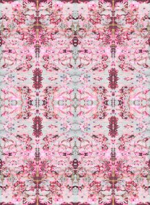 Burgandy Rose, 2015 (tecnica mista, illustrazione, digitale)