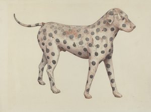 Dalmata