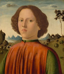 Ritratto di un Ragazzo