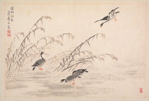 Album di Calligrafia e Dipinti da Bian Shoumin