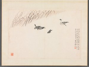 Album di Calligrafia e Dipinti da Bian Shoumin