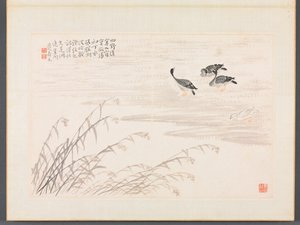 Album di Calligrafia e Dipinti da Bian Shoumin