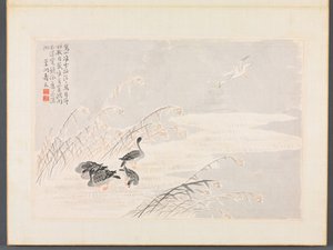 Album di Calligrafia e Dipinti da Bian Shoumin